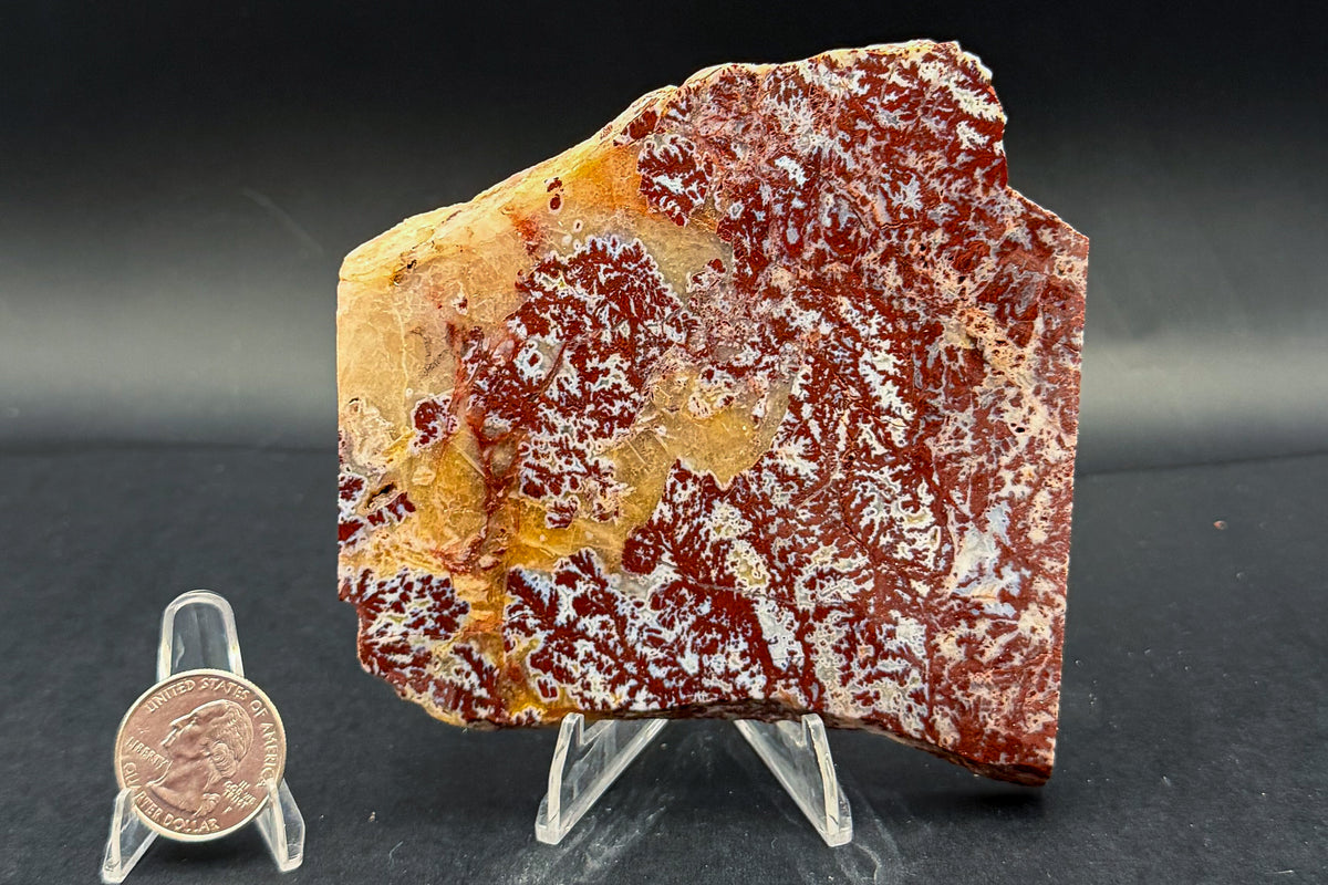 Paul Bunyan Agate (Unpolished)