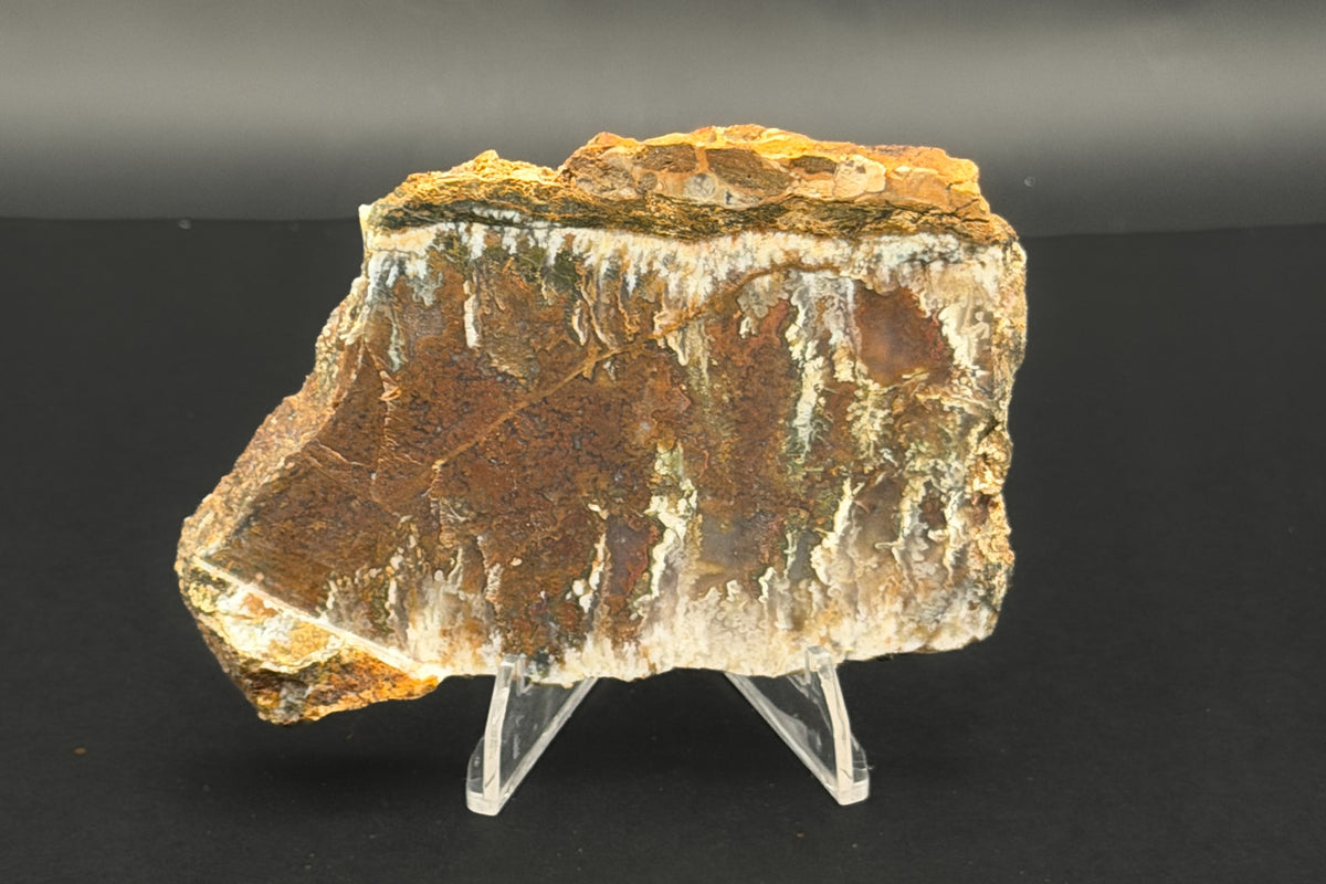 Linda Marie Plume Agate (Unpolished)