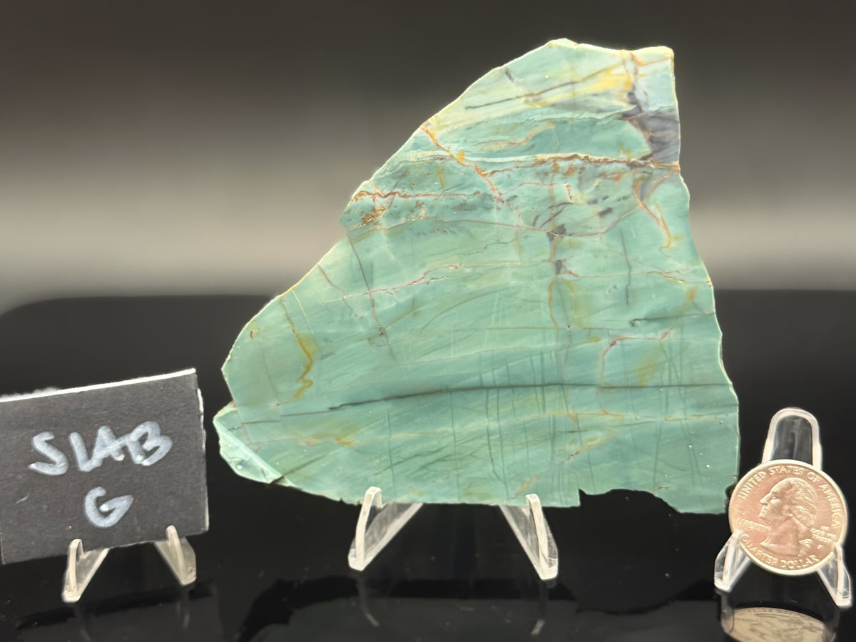Skagg's Jasper (Unpolished)