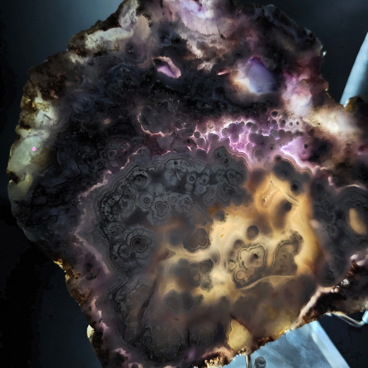 Mexican Luna Agate Slab - Premium Grade Old Stock (Polished)