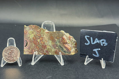 Spiderweb Jasper (Unpolished)