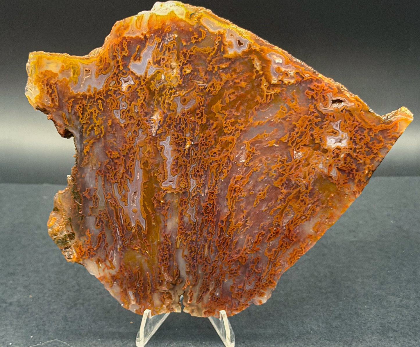 Bull Canyon Tube/Moss Agate (Unpolished)