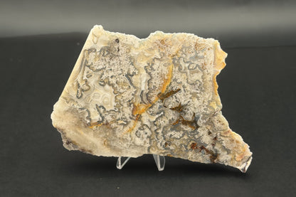 Candle Lace Agate (Unpolished)
