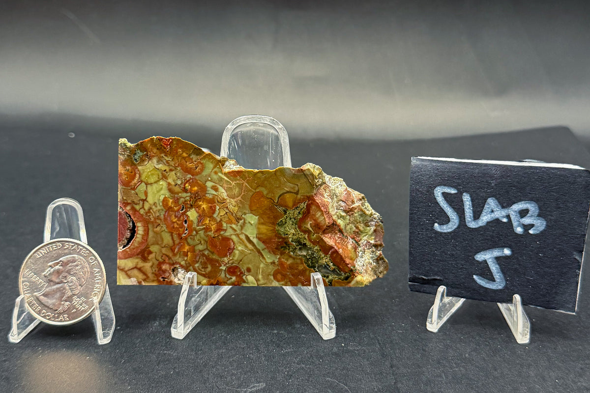 Spiderweb Jasper (Unpolished)