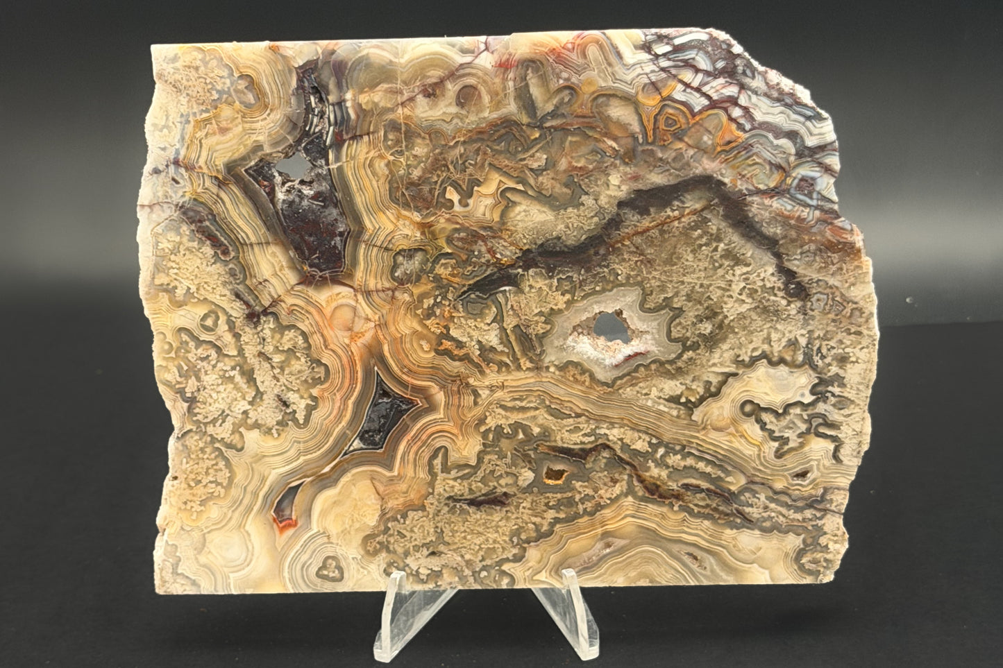 Candle Lace Agate (Unpolished)