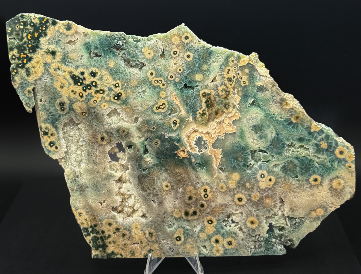1st Vein Ocean Jasper (Unpolished)