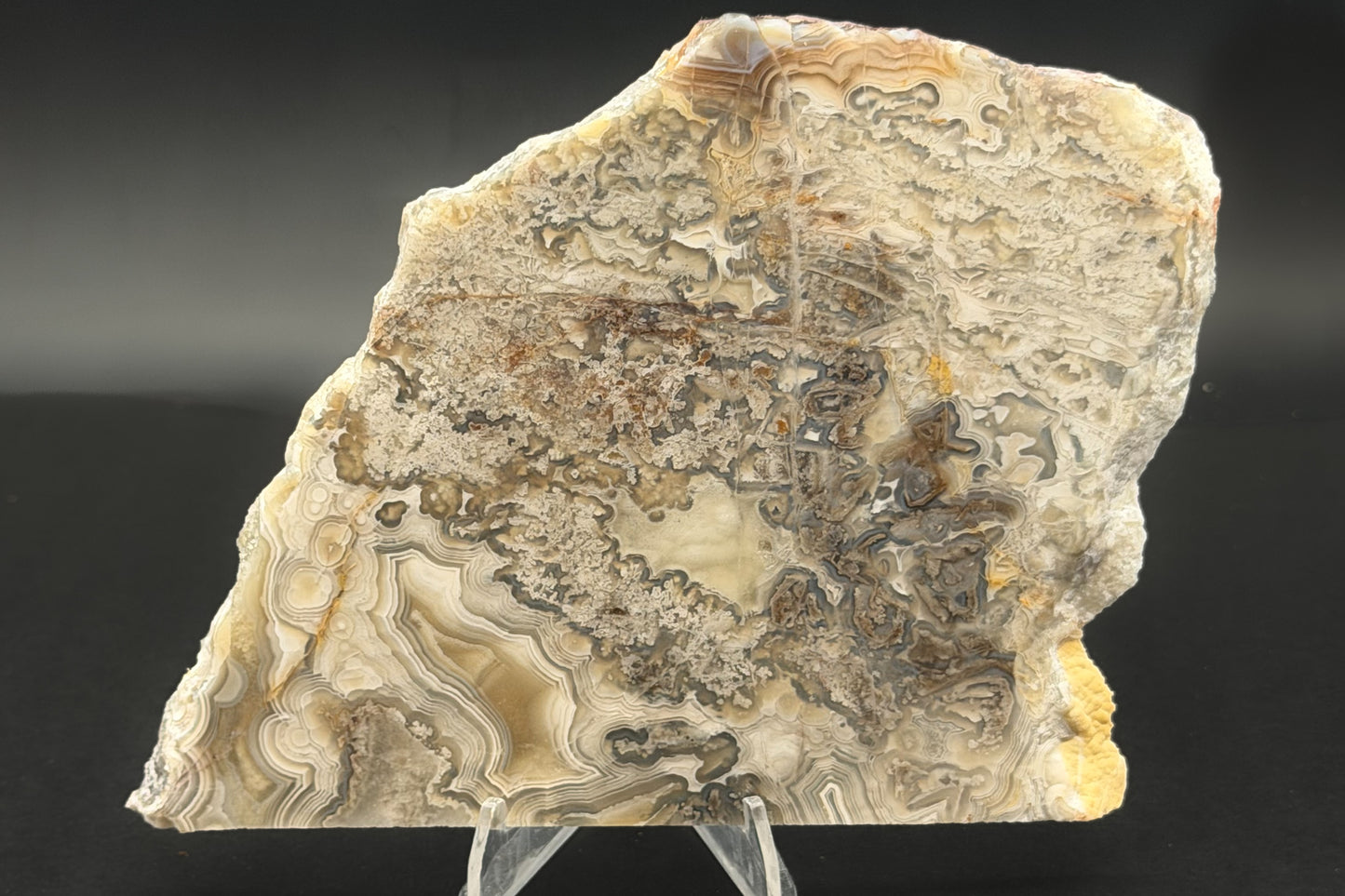 Candle Lace Agate (Unpolished)