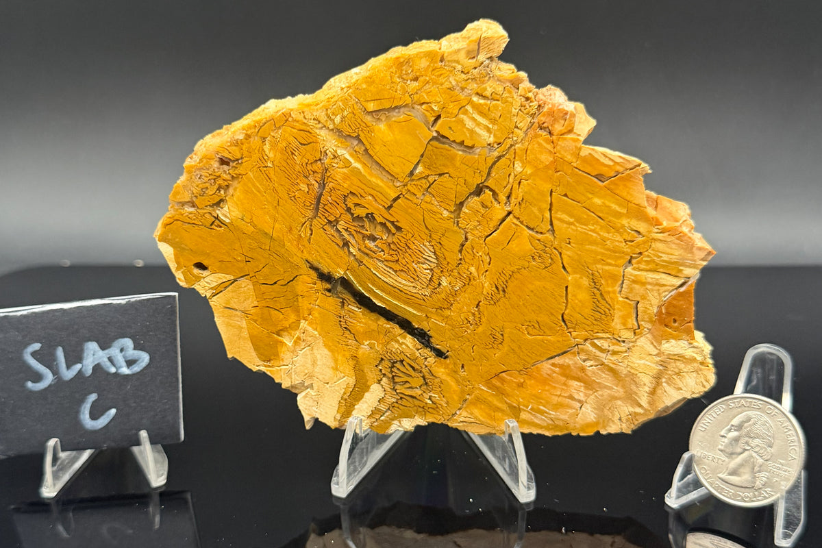 Howardite Jasper