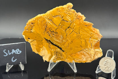 Howardite Jasper