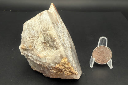 Candle Lace Agate Slab Set (Unpolished)
