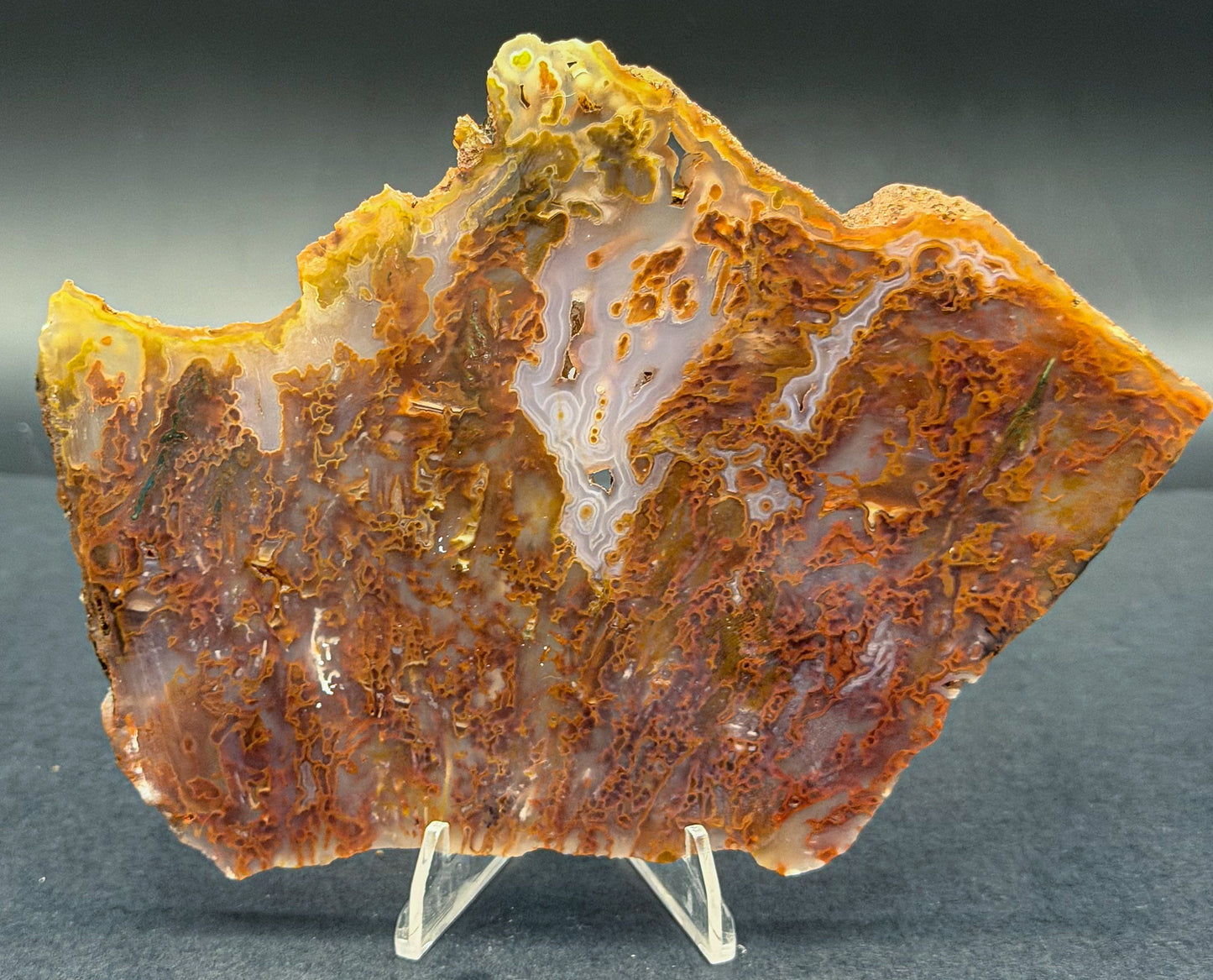 Bull Canyon Tube/Moss Agate (Unpolished)