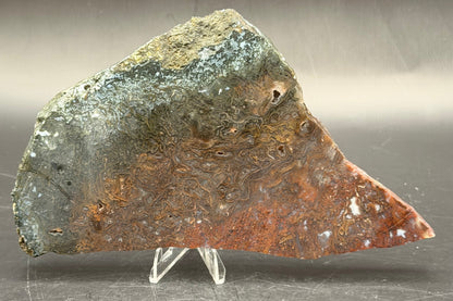 Maury Mountain Moss Agate (Unpolished) Slabs
