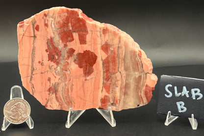 Unpolished Kona Dolomite