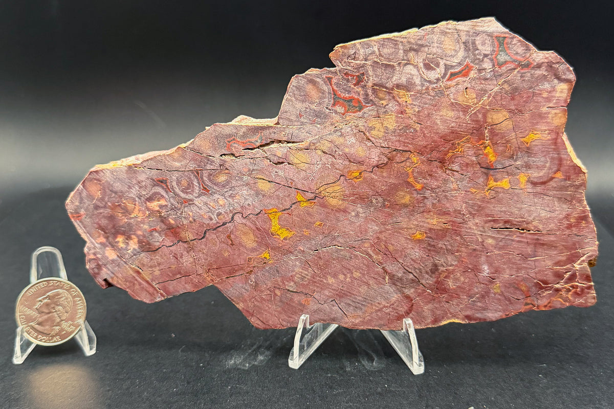 Morgan Hill Poppy Jasper (Unpolished)