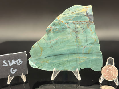 Skagg's Jasper (Unpolished)