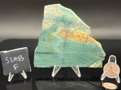 Skagg's Jasper (Unpolished)