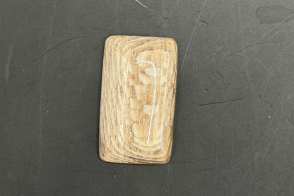 Badger Pocket Petrified Wood