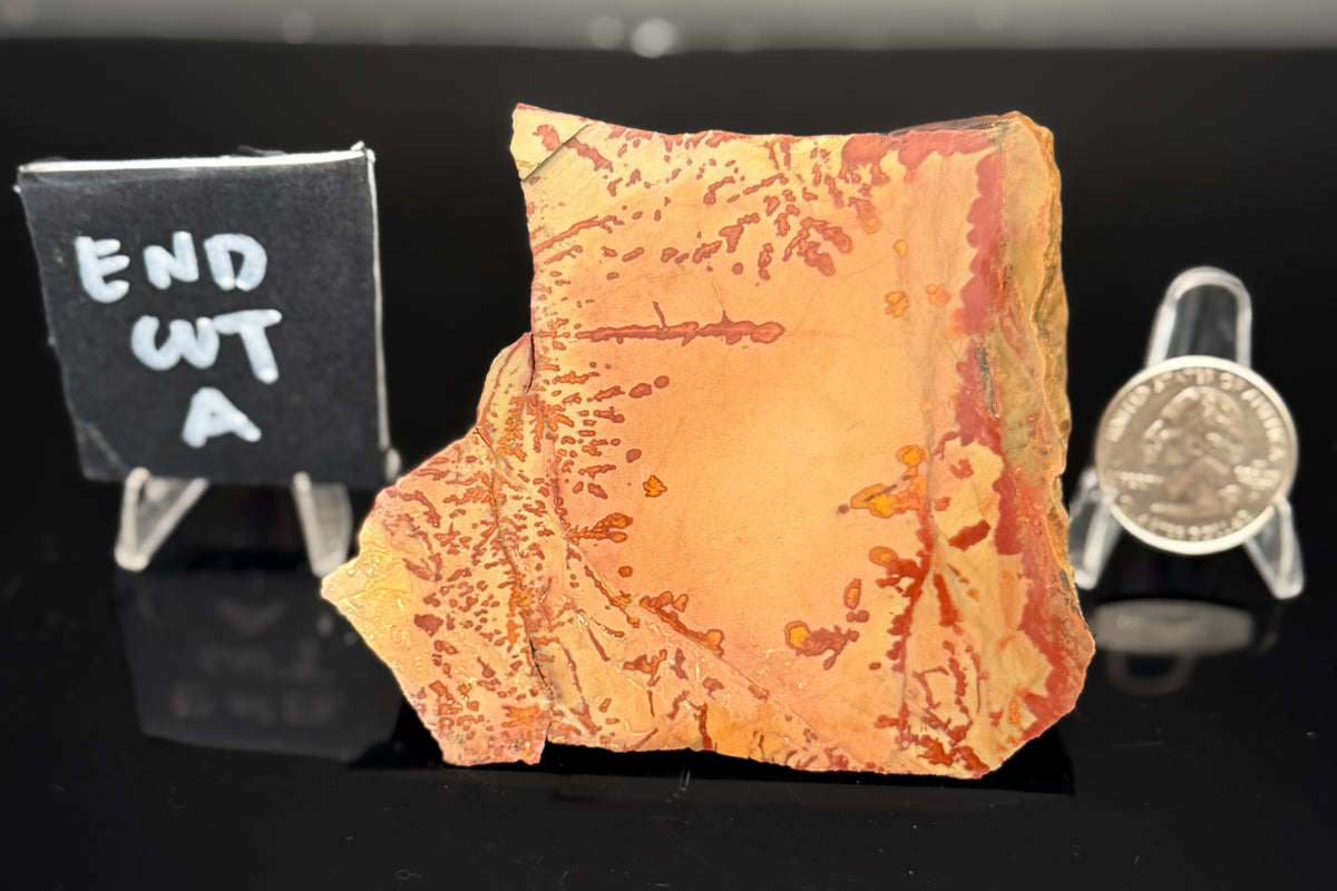 Owyhee Jasper (Unpolished)