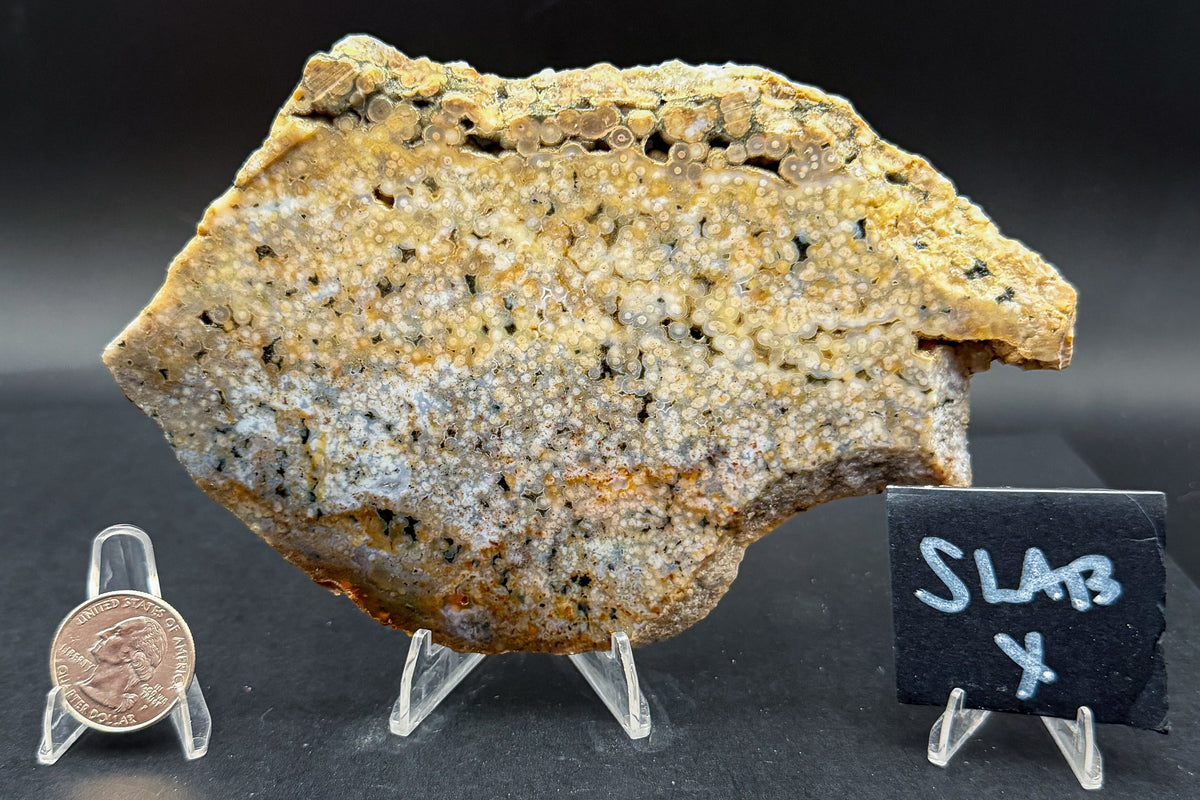 Ocean Jasper Slab (Unpolished)
