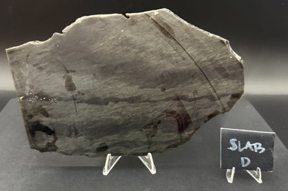 Mexican Velvet Obsidian (Unpolished)