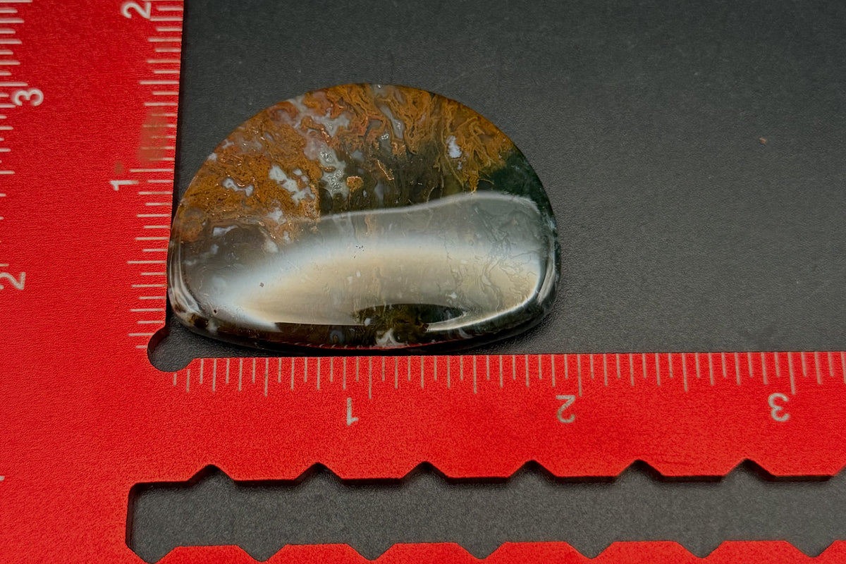 Maury Mountain Moss Agate Cabochon