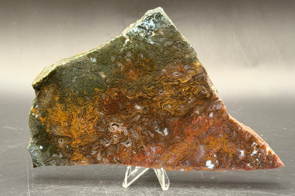 Maury Mountain Moss Agate (Unpolished) Slabs