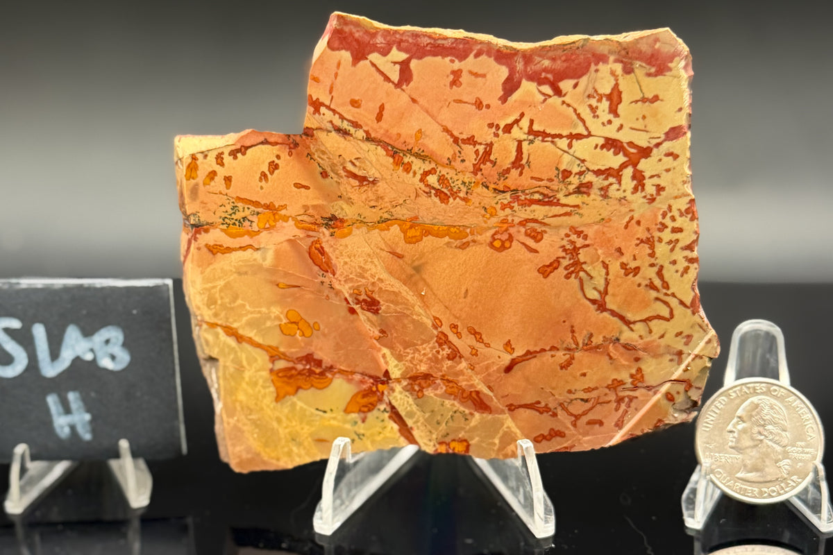 Owyhee Jasper (Unpolished)