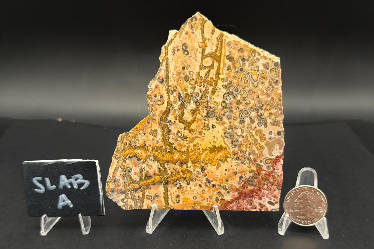 Leopard Skin Rhyolite (Unpolished)