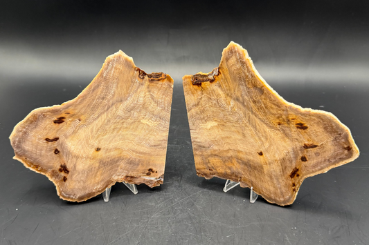 Hells Canyon Petrified Wood set(Unpolished)