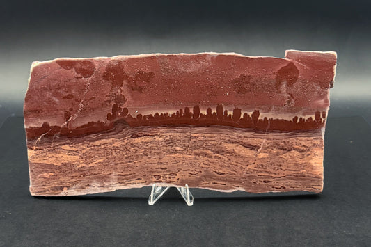 Apache Canyon Rhyolite (Unpolished)