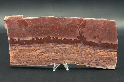 Apache Canyon Rhyolite (Unpolished)