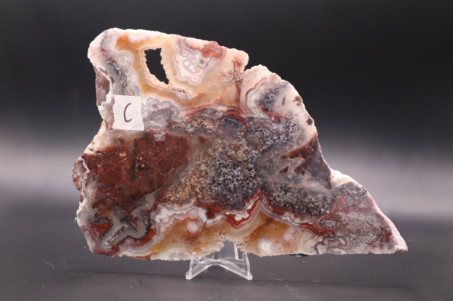 Crazy Lace Agate slab (Unpolished)