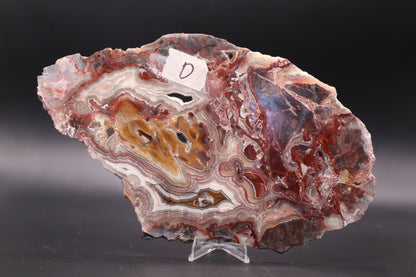 Crazy Lace Agate slab (Unpolished)