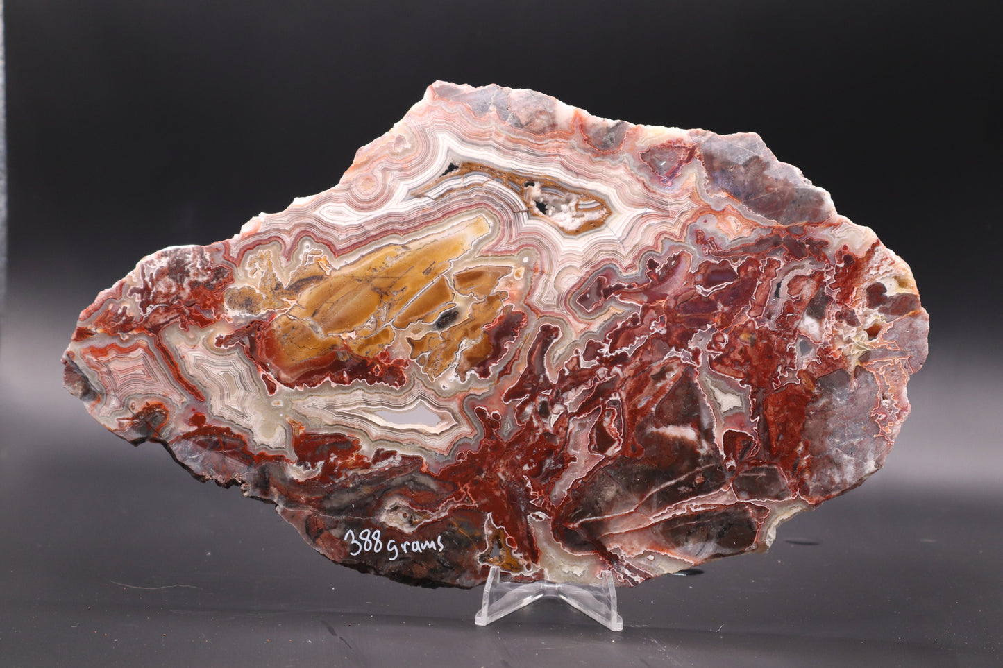 Crazy Lace Agate slab (Unpolished)