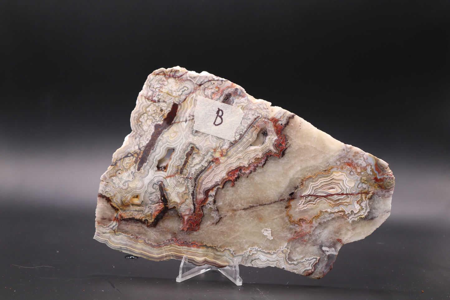 Crazy Lace Agate slab (Unpolished)