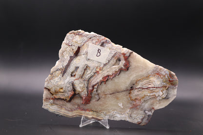 Crazy Lace Agate slab (Unpolished)
