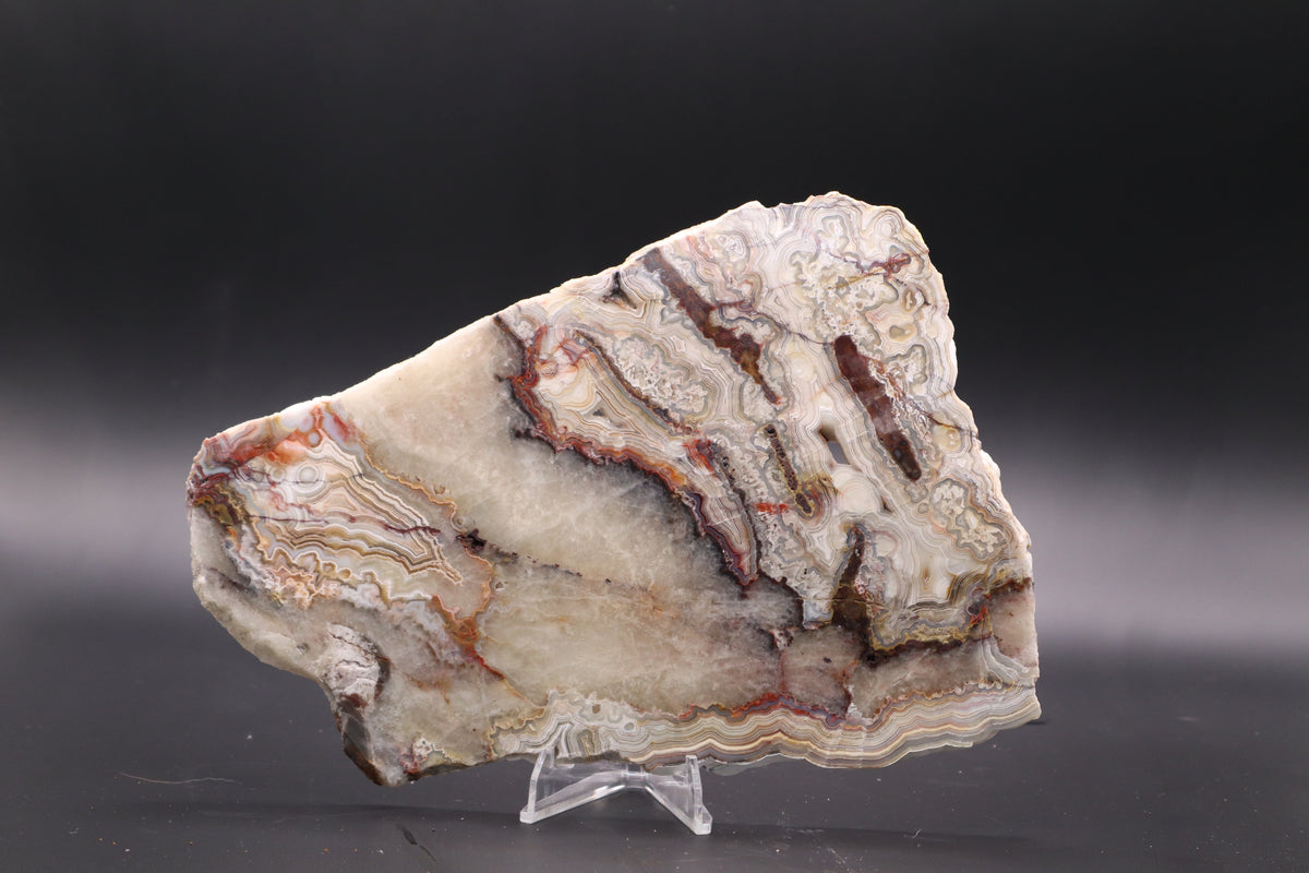 Crazy Lace Agate slab (Unpolished)