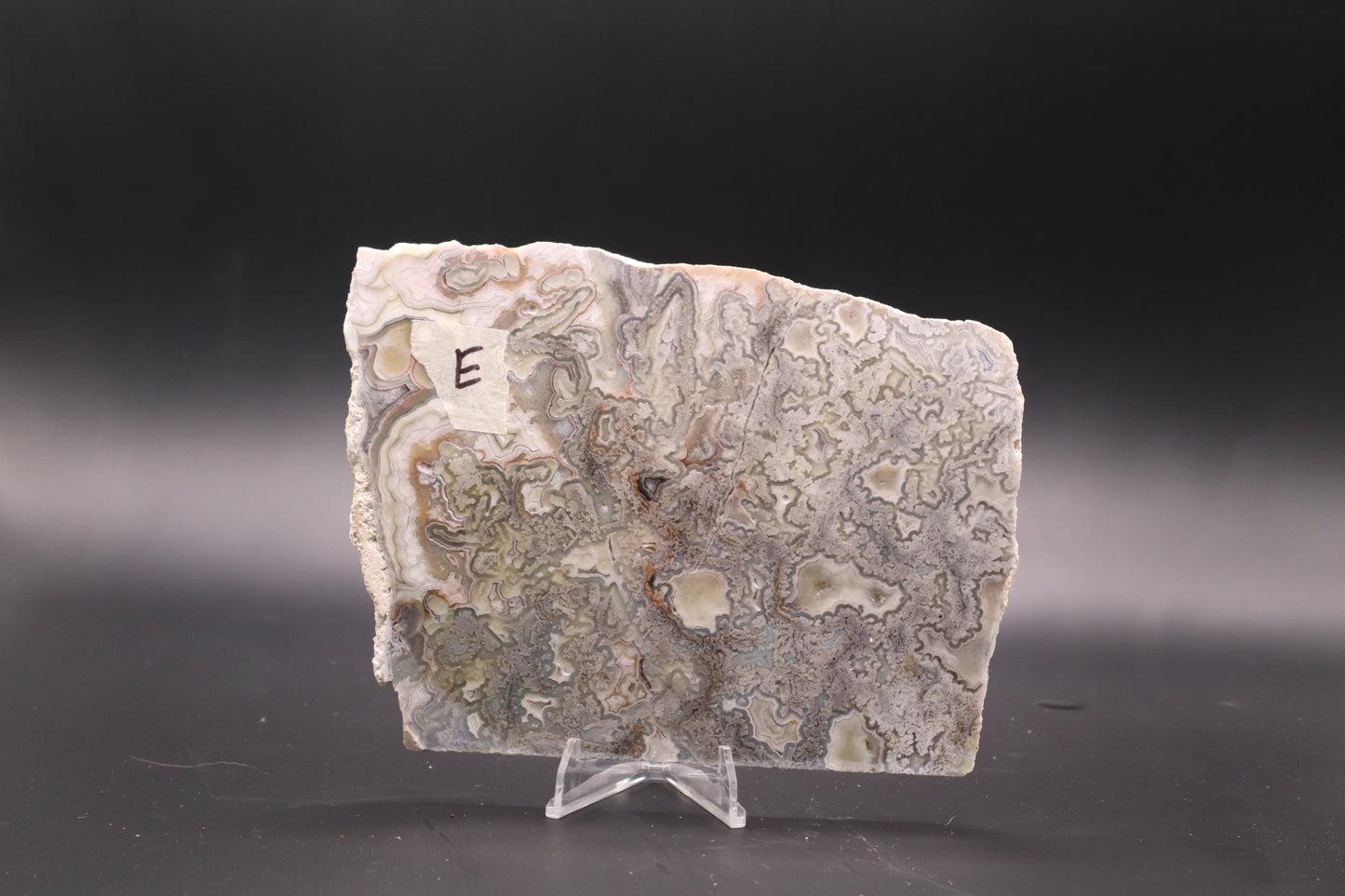 Crazy Lace Agate slab (Unpolished)