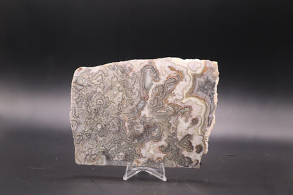 Crazy Lace Agate slab (Unpolished)