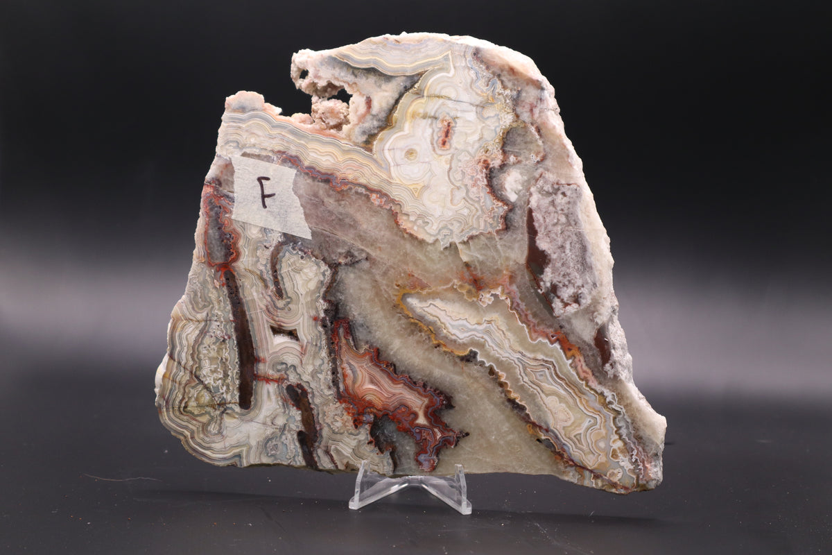 Crazy Lace Agate slab (Unpolished)