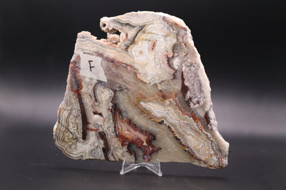 Crazy Lace Agate slab (Unpolished)