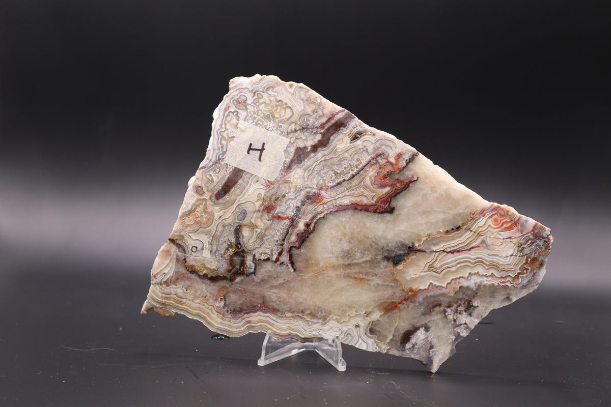 Crazy Lace Agate slab (Unpolished)
