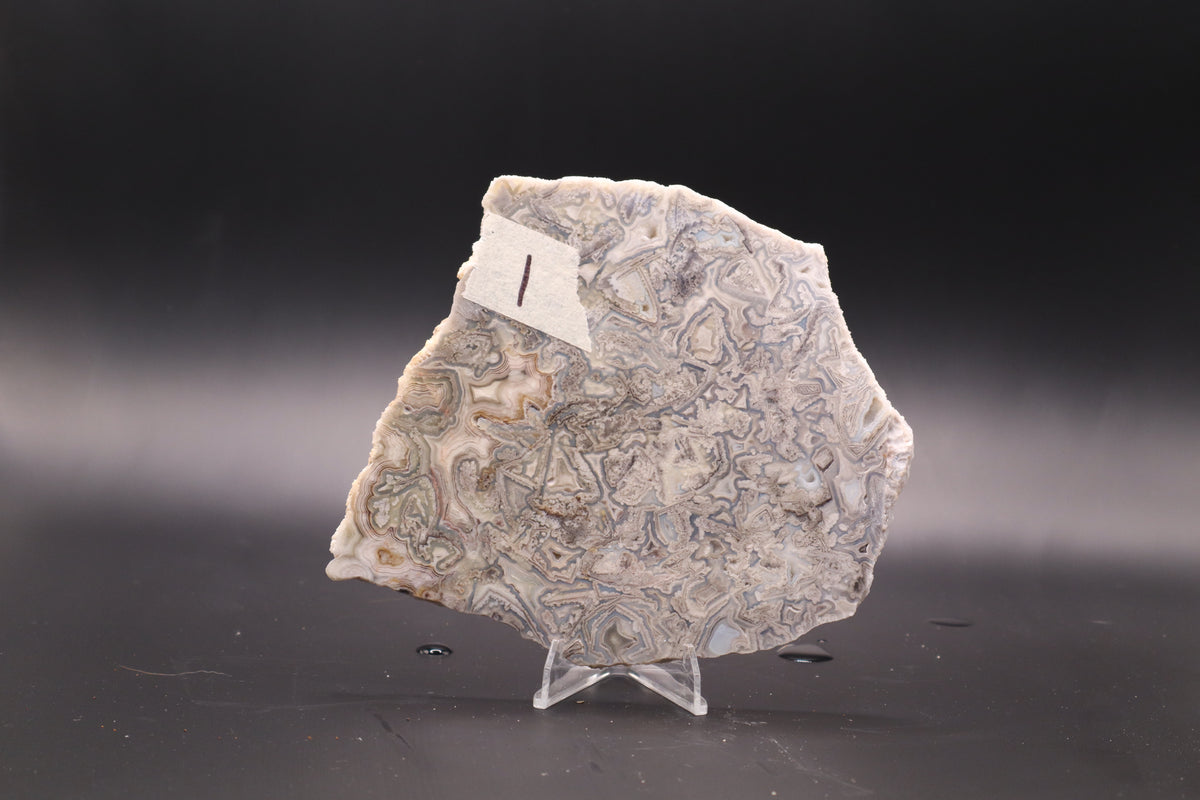 Crazy Lace Agate slab (Unpolished)