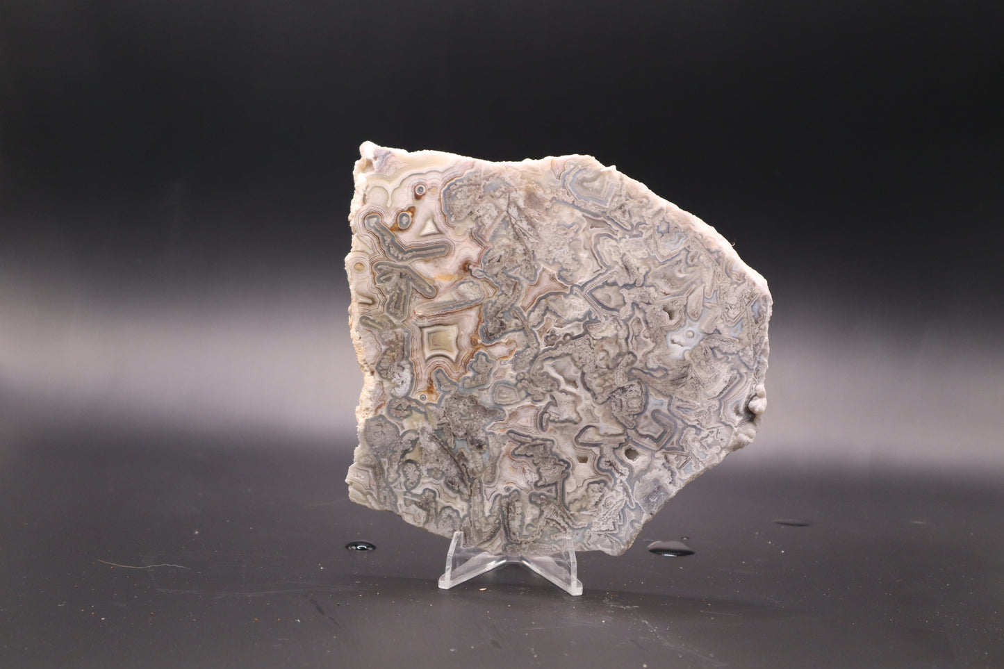 Crazy Lace Agate slab (Unpolished)