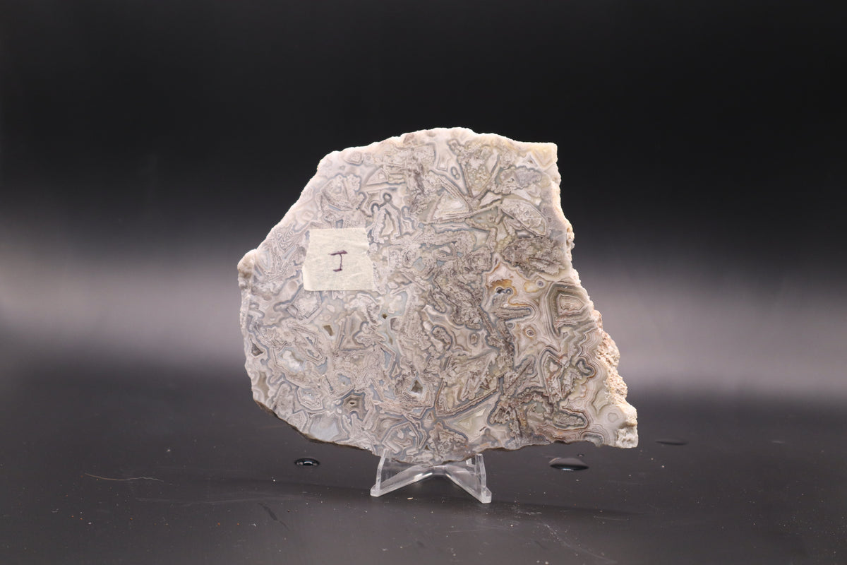 Crazy Lace Agate slab (Unpolished)