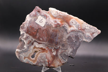 Crazy Lace Agate slab (Unpolished)