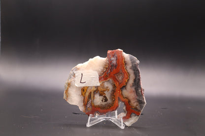 Crazy Lace Agate slab (Unpolished)