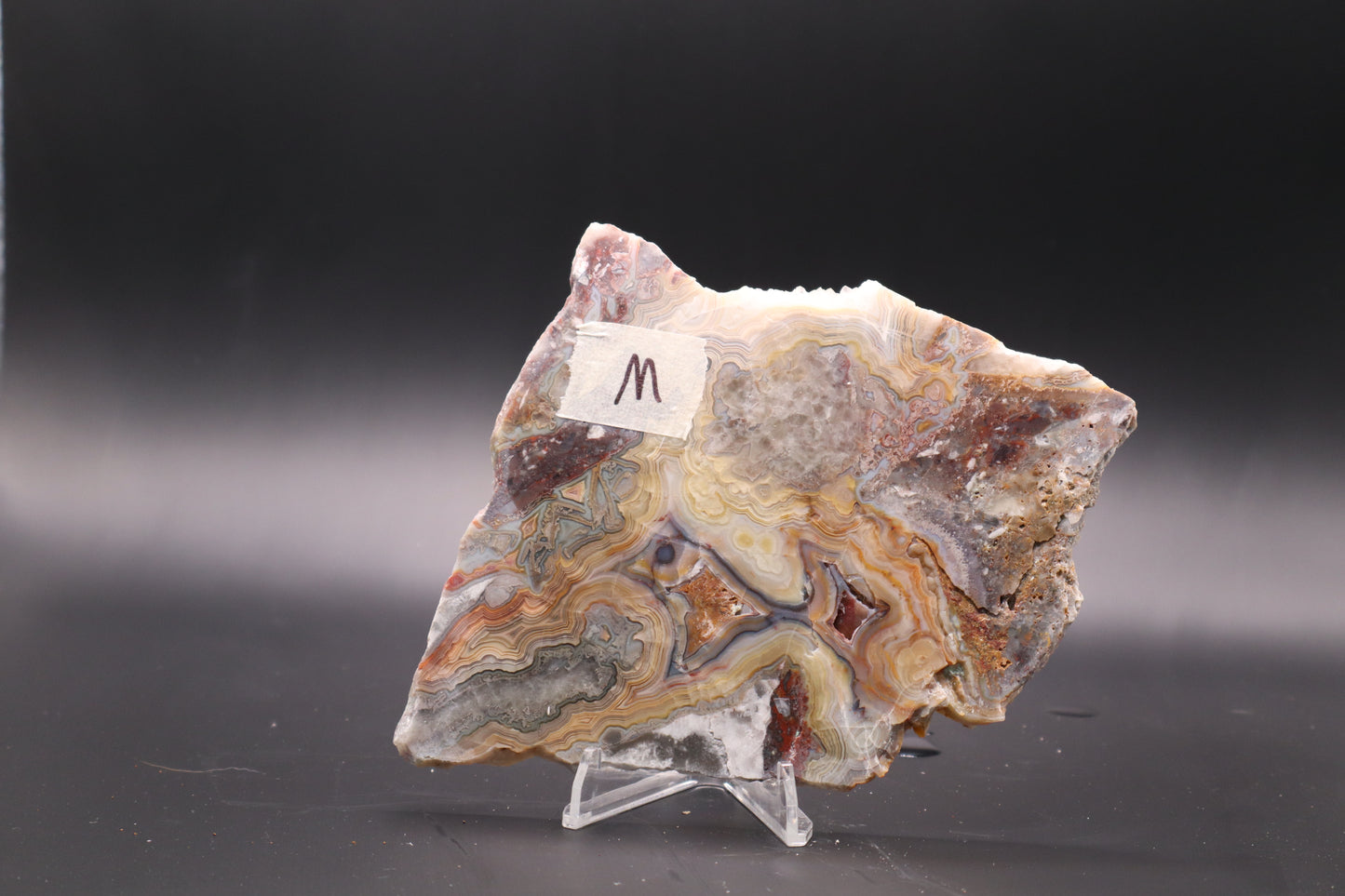 Crazy Lace Agate slab (Unpolished)