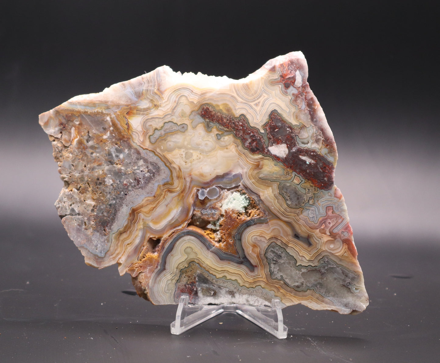 Crazy Lace Agate slab (Unpolished)