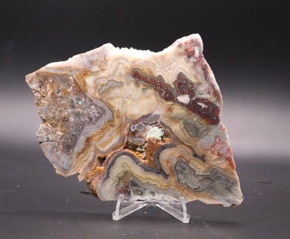 Crazy Lace Agate slab (Unpolished)